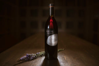 Especial vinos tintos CLOS PONS – Roc Nu