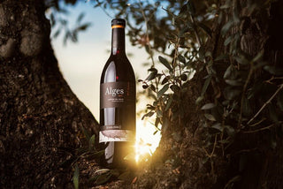 Especial vinos tintos CLOS PONS – Alges - pons1945.com