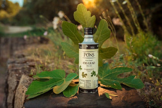 Aceite de oliva en tu helado, ¿te atreves? - pons1945.com