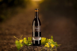 Alges, el vino insignia de Clos Pons - pons1945.com