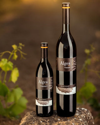 Formato Mágnum en vinos, por qué elegirlo? - pons1945.com