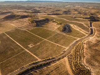 El Smarttree se implementará en las nuevas fincas de olivo de PONS: Un Modelo de Cultivo Innovador