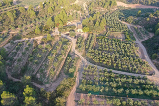 PONS amplía su Jardín Varietal con 65 variedades autóctonas catalanas - pons1945.com