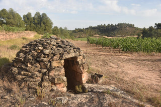 Testimonios del territorio: El “Aljub Iglú”