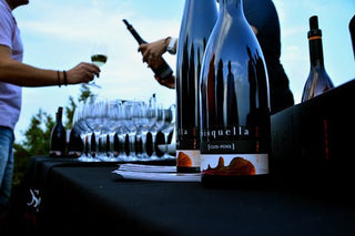 Especial vinos blancos CLOS PONS – Sisquella - pons1945.com