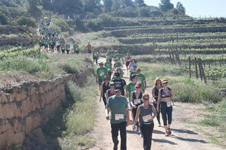 Éxito Solidario en la Quinta Marcha entre Viñas y Olivares en el territorio de CLOS PONS - pons1945.com