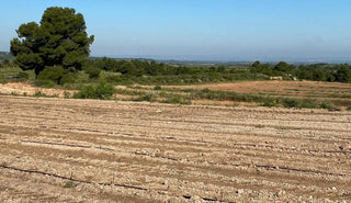 MALBEC, nueva plantación de viñedo a CLOS PONS - pons1945.com