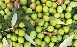 Aceite de Oliva Virgen Extra Orgánico, rico en nutrientes, respetuoso con el medio ambiente