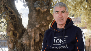 Aceites de Oliva virgen extra JANIROC, y el porqué de su singularidad, innovación y autenticidad - pons1945.com