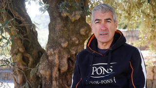 Aceites de Oliva virgen extra JANIROC, y el porqué de su singularidad, innovación y autenticidad