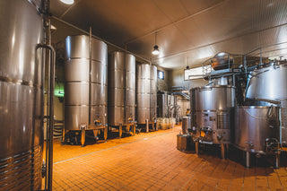 Queda finalizada la vendimia 2020