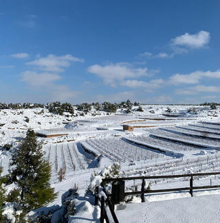 La nieve tiñe de blanco el paisaje de Clos Pons