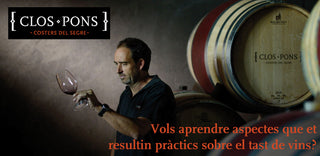 Taller Tast de Vins: Aspectes pràctics