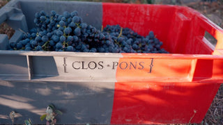 Vendimia 2023 en Clos Pons: Los secretos detrás de los vinos CLOS PONS de la vendimia 2023. - pons1945.com