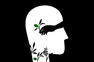 Una dieta rica en aceite ha demostrado tener beneficios significativos para la salud cerebral