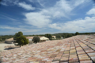 Del Olivar al Nuevo Molino