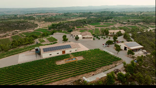 Cuenta atrás para el nuevo molino de PONS - pons1945.com