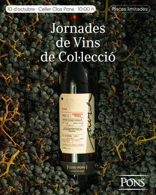 Winery Guided Tour - Collection Wines Special