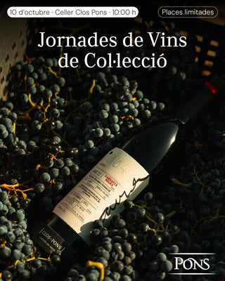 Visita Guiada Bodega Vinos Colección - PONS