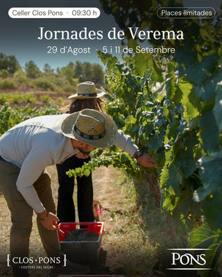 Visita Vendimia con Comida - PONS