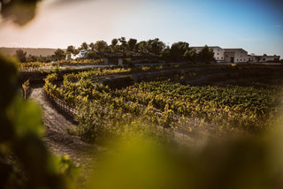 Tarjeta regalo visita a la bodega